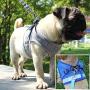 Dog Cat Harness Vest, Pet Soft Safety Mesh Breathable Leash Set with 2 Metal Buckle for Kitties, Puppy (Small)