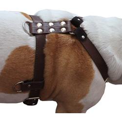 Genuine Leather Dog Harness Medium to Large 25''-32'' Chest, 1'' Wide Adjustable Straps