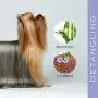 YUUP! Italy Home & Professional Glossing & Detangling Spray for Dogs and Cats - Protecting From Sun, Chlorine, Dying and Pollution - Ideal for Long and the most Neglected and Tangled Coat(5 oz/8.5 oz) YUUP! Italy Home & Professional Glossing & Detangling Spray for Dogs and Cats - Protecting From Sun, Chlorine, Dying and Pollution - Ideal for Long and the most Neglected and Tangled Coat(5 oz/8.5 oz)