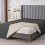 RBSC Home Waterproof Blanket Dog Bed Cover Non Slip Large Sofa Cover Incontinence Mattress Protectors for Pets Dog Cat with 1 Brush (8682DG)