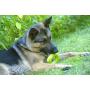 Hero Action, Durable Floating Foam Ring Dog Toy for Tossing, Fetching & Chewing