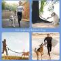 PuppyDoggy Hands Free Dog Leash for Large Medium Dogs Dual-Handle Bungee Reflective Stitching Leash with Waist Belt & Chain Martingale Dog Collar & Poop Bag Dispenser for Running Walking Hiking