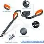 PuppyDoggy Double Handle Dog Leash 6 ft Long for Large and Medium Dogs Reflective Threads Stitching Leash with Two Traffic Padded Handles & Poop Bag Dispenser for Walking , Training (Orange)