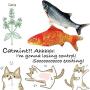 Simulation Electric Doll Fish, Electric Cat Toy Simulation Plush Fish Shape Doll, Realistic Cat Kicker Fish Catnip Toy Funny Interactive Pets Pillow Chew Bite Kick Supplies for Cat/Kitty/Kitten Silver