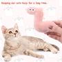 10 Pieces Catnip Cat Toys Cat Kitten Interactive Toy Stuffed Animal Cat Toy Set Assorted Plush Pet Toys Cat Chew Toy for Indoor Cats Chewing Hunting Grinding