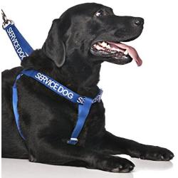 Dexil Limited Service Dog Blue Color Coded Alert Warning L XL Non Pull Dog Harness Prevents Accidents by Warning Others of Your Dog in Advance