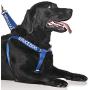 Dexil Limited Service Dog Blue Color Coded Alert Warning L XL Non Pull Dog Harness Prevents Accidents by Warning Others of Your Dog in Advance