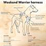 Hurtta Weekend Warrior Dog Harness, Neon Orange, 32-39 in
