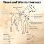 Hurtta Weekend Warrior Dog Harness, Neon Orange, 32-39 in