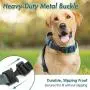 rabbitgoo Dog Harness, Adjustable Dog Walking Harness with Handle and Shock-Absorbing Bungee Straps, Reflective Dog Vest Harness No Choke, Halter Harness with Padded Strap for Medium Dogs, M