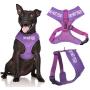 Do Not Feed Purple Color Coded Waterproof Padded Adjustable Alert Warning Medium Vest Dog Harness Prevents Accidents By Warning Others of Your Dog in Advance