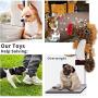 Dog toy dog ​​squeak toy chew toy pet dog stuffed toy soft shape pet toy bully make toys for aggressive chewers breed durable dog toy hide and seek dog toys indestructible dog toys interactive dog toy