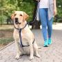 KOOWIN Personalized Waterproof Dog Harness Coated Ultra Soft Rubber with Reflective Strip, Red for Male Blue for Female, Not Hurt Pet Neck, Adjustable Medium Large Breed
