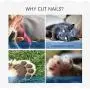 Adniac Dog Nails Clippers and Trimmer-Professional Pet Grooming Tool,Razor Sharp Blades,Safety Guard to Avoid Overcutting,Free Nail File Adniac Dog Nails Clippers and Trimmer-Professional Pet Grooming Tool,Razor Sharp Blades,Safety Guard to Avoid Overcutting,Free Nail File