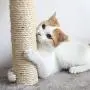 Cat Scratching Posts- Adult Cat and Kitten Tree, 3 Large Scratching Poles, Carpeted Base Play Area and Perch, Furniture Scratch Deterrent by PETMAKER Cat Scratching Posts- Adult Cat and Kitten Tree, 3 Large Scratching Poles, Carpeted Base Play Area and Perch, Furniture Scratch Deterrent by PETMAKER