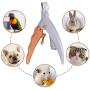 Hido Illuminated Pet Nail Clipper with LED Light, 5X Magnification Dogs Nail Scissor, Safe Cats Nail Trimmer Claw Care Grooming Tool, Professional Nail Trapper for Small Medium Large Animals, Orange