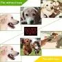 KATONGPET Dog Rope Toys 7 Pack - Toy for Pets, Puppy Teething Sturdy Cotton Chew Tug Ropes Indoor/Outdoor, Exercise Interactive Toys Set for Small-Medium Dogs KATONGPET Dog Rope Toys 7 Pack - Toy for Pets, Puppy Teething Sturdy Cotton Chew Tug Ropes Indoor/Outdoor, Exercise Interactive Toys Set for Small-Medium Dogs