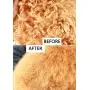 GEEPET Dematting Comb and Grooming Tool with 2 Sided Professional Grooming Rake for Cats & Dogs GEEPET Dematting Comb and Grooming Tool with 2 Sided Professional Grooming Rake for Cats & Dogs