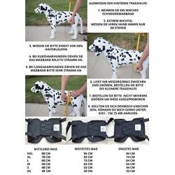 Pfaff Medical Dog Rear Carrier/Lifting Harness Blue (XL Blue)