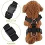 Lukovee Dog Safety Vest Harness with Seatbelt, Dog Car Harness Seat Belt Adjustable Pet Harnesses Double Breathable Mesh Fabric with Car Vehicle Connector Strap for Dog Lukovee Dog Safety Vest Harness with Seatbelt, Dog Car Harness Seat Belt Adjustable Pet Harnesses Double Breathable Mesh Fabric with Car Vehicle Connector Strap for Dog