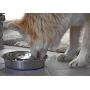 OurPets DuraPet Slow Feed Premium Stainless Steel Dog Bowl (Durable Stainless Steel Dog Bowls, Slow Feeder Dog Bowls, Dog Food Bowl, Dog Water Bowl) Great Alternative to Snuffle Mat for Dogs