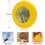 Pet Frisbee Flying Disc Dog Toy - Multifunction an Afternoon at The Park Jennifer Lommers