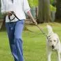 Cand 1400 Counts Dog Poop Bags, Waste Bags with Dispenser, 40 Rolls