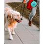 KALLAK Travel Twin Pet Bowls for Dogs or Cats, Collapsible Silicone Bowls for Food and Water Feeding, Foldable Zip Up Oxford Cloth Carry Case with Carabiner Clip, Portable Hiking Dog Bowl