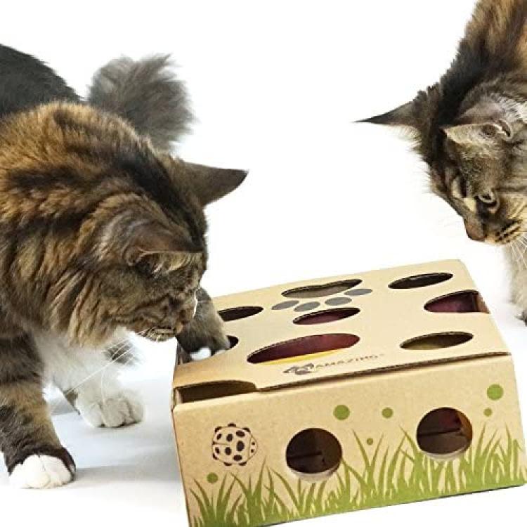 Cat Puzzle Feeder Treat Maze Toy, Slow Feeder Cat Bowl, Non Slip  Interactive Puzzle Cat Toy for Entertainment Activities, 3 Level Challenges  for Indoor Cats Improve Intelligence (A - Green)