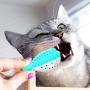 ocijf179 Cat Toy Pet Cat Kitten TPR Puffer Fish Toothbrush Catnip Molar Soft Bite Chew Play Toy - Blue