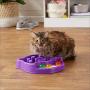Amazon Basics Pet Activity Center and Feeder