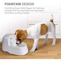 Dog Water Dispenser, Cat Drinking Fountain Pet Fountain with 2.5L (0.66GAL) Capacity, 5Pcs Carbon Filter,Ultra Quiet, Safe and Energysaving Water Bowl for Dogs Cats Birds