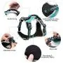 Petties&Sweeties No Pull Dog Harness, Reflective Adjustable Soft Padded Vest Unique Colors,with a Easy Control Training Handle