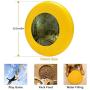 Pet Frisbee Flying Disc Dog Toy - Multifunction Silver Moonlight John Atkinson Grimshaw