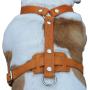 Genuine Leather Dog Harness, 29''-37'' Chest, 1'' Wide Straps, Doberman, Pitbull, Bullterrier