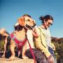 DOCO Athletica Quick FIT Mesh Harness - No Choke, Custom-Fit & Perfect for Small and Medium Sized Dogs