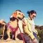 DOCO Athletica Quick FIT Mesh Harness - No Choke, Custom-Fit & Perfect for Small and Medium Sized Dogs