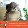 KOOLTAIL Cat Scratch Deterrent Tape 2 Rolls 3 inches x 30 Yards,Non Scratch Scouring Pads for Cats Training Anti-Scratch Pad for Furniture