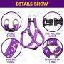 PUPTECK Luminous Dog Harness Collar Leash Set Glow in The Dark- 3 Pieces Adjustable for Small Puppy Medium Doggie Daily Walking Running and Training with Star and Moon Pattern