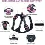 Bitsymore Dog Harness No Pull Reflective Pet Harness Outdoor Adjustable Vest with Quick Release Clasp Easy Control Handle for Small Medium Large Dogs Walking Training Bitsymore Dog Harness No Pull Reflective Pet Harness Outdoor Adjustable Vest with Quick Release Clasp Easy Control Handle for Small Medium Large Dogs Walking Training