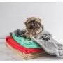 Bone Dry Embroidered Pet Towel