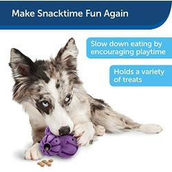 PetSafe Busy Buddy Barnacle Treat Dispensing Dog Toy