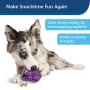 PetSafe Busy Buddy Barnacle Treat Dispensing Dog Toy