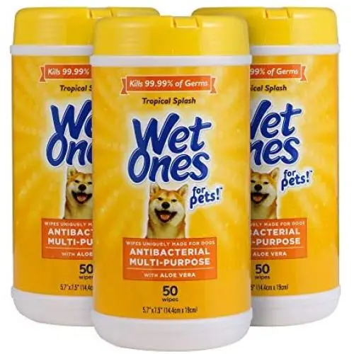 Wet Ones for Pets Antibacterial Multi-Purpose Dog Wipes with Aloe Vera, 50 Count - 3 Pack | Antibacterial Dog Wipes for All Dogs in Tropical Splash, Wet Ones Wipes for Paws & All Purpose (FF12842PCS3) Wet Ones for Pets Antibacterial Multi-Purpose Dog Wipes with Aloe Vera, 50 Count - 3 Pack | Antibacterial Dog Wipes for All Dogs in Tropical Splash, Wet Ones Wipes for Paws & All Purpose (FF12842PCS3)