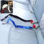 Pet Pet Dog Cat Car Seat Belt Adjustable Harness Seatbelt Lead Leash for Small Medium Dogs Travel Clip Safety Dog Leash 12 Color (Color : Blue)