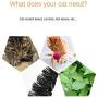 KUNZHAN Catnip Toys,Cat Self Groomer,Arched Cat Scratcher Cat Scratch Toys Scratch and Groom Catnip Blasted Kitten Scratching Pad Massager and Cat Scratcher Cat Grooming Brush Supplies
