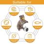 QQL Cat Toys for Indoor Cats Wheel Training Toys with Catnip Tumbler Balance Pet Toys Interactive Kitten Swing Toys Kitten Sports Educational Toys