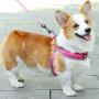 CHBORLESS Reflective Pet Dog Harness and Leash Set Wide Thick Comfortable Neck Chest Strap Padded Cotton Handle Nylon Dog Leash