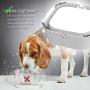 Didog Dog Water Bowls No-Spill Pet Slow Feeder Drink Bowls, Splash Proof & Vehicle Carried Travel Water Bowls, BPA Free Material, 35oz (1L) Drinking for Dogs & Cats