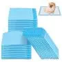 FancyWhoop Puppy Training Pads for Dog Pet Pee Absorbent Toilet Pee Wee Mat Anti Slip Leakproof for S (100 Pack 12.99 x 17.71 inch)